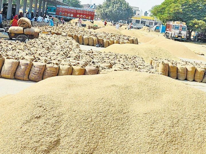 AGRICULTURE DEPT: ସମସ୍ତ ଜିଲ୍ଲାରେ ଧାନ ସଂଗ୍ରହ ଜାରି