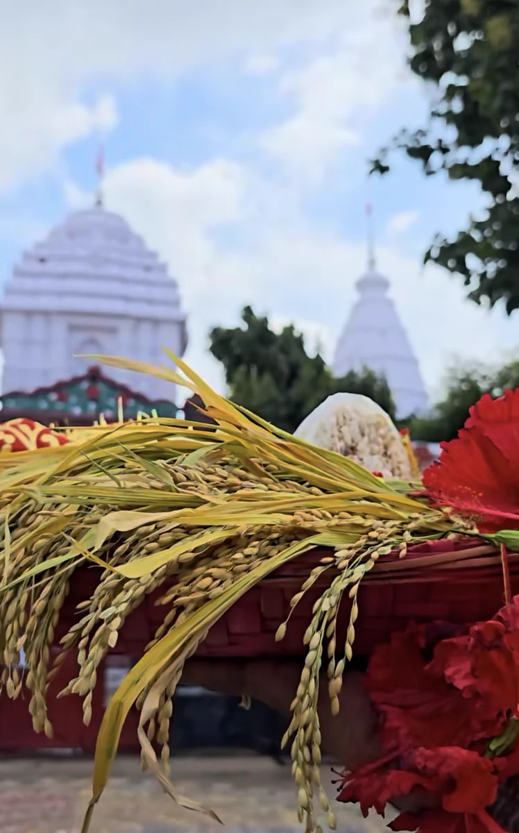 ରାଜ୍ୟବାସୀଙ୍କୁ ନୂଆଁଖାଇର ଶୁଭେଚ୍ଛା ଜଣାଇଲେ ମୁଖ୍ୟମନ୍ତ୍ରୀ